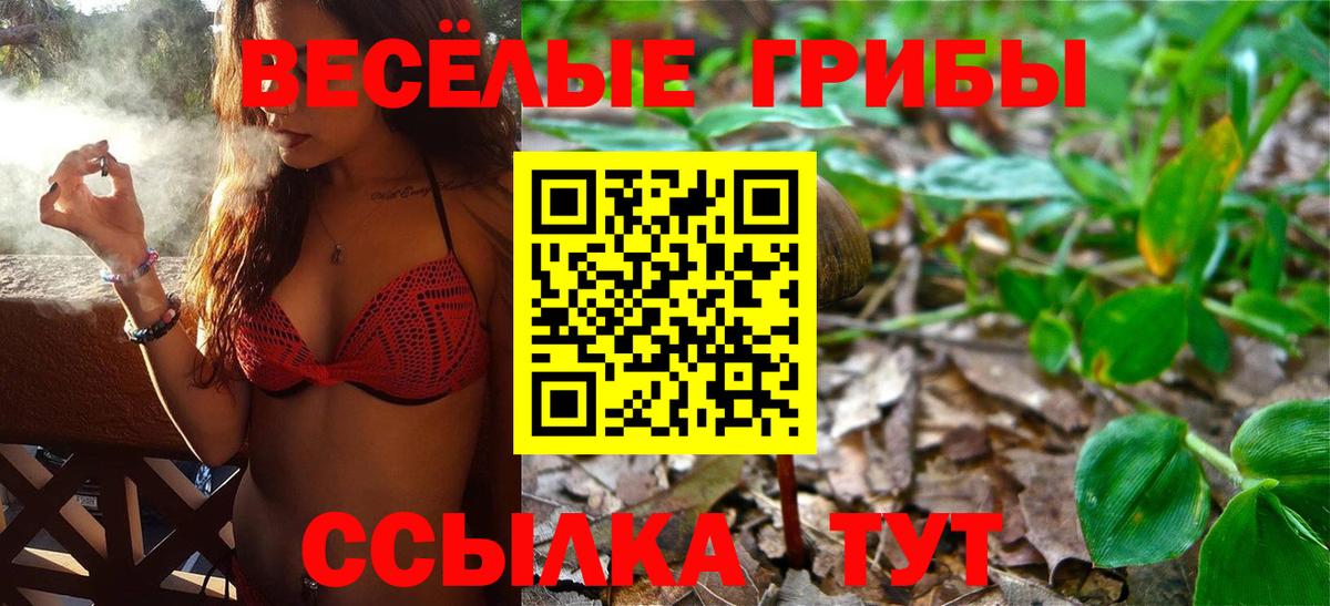 Элиста  Псилоцибиновые грибы Cubensis  Вход с VPN  Псилоцибиновые грибы Psilocybe 